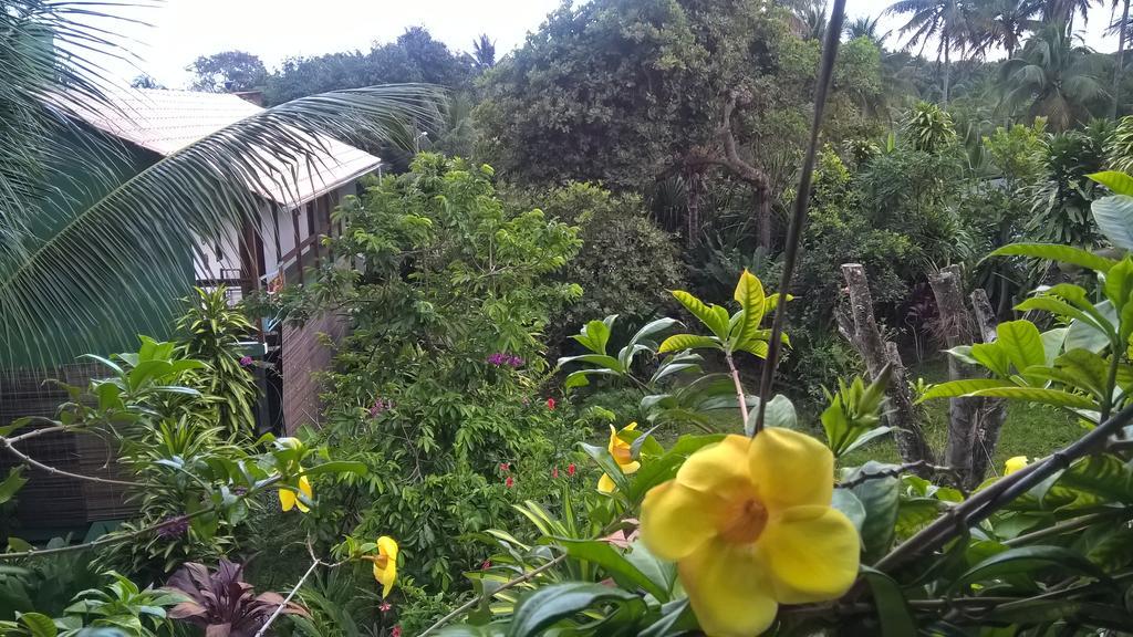 Recanto Solar Da Paz Velha Boipeba Buitenkant foto